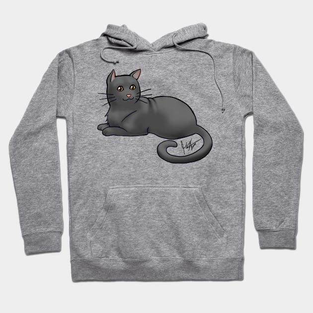 Cat - American Shorthair - Black Hoodie by Jen's Dogs Custom Gifts and Designs